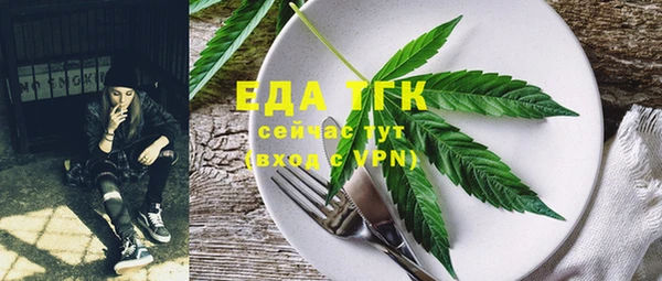 ГАЛЛЮЦИНОГЕННЫЕ ГРИБЫ Новозыбков