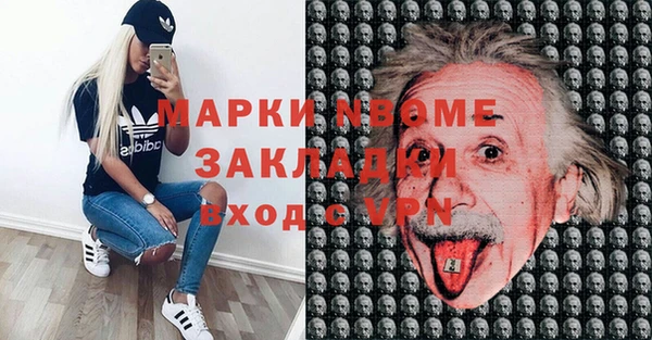 ГАЛЛЮЦИНОГЕННЫЕ ГРИБЫ Новозыбков