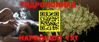 сатива Абакан