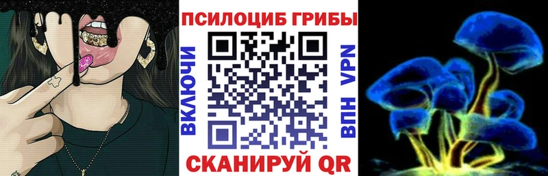 Псилоцибиновые грибы Psilocybe  Златоуст 