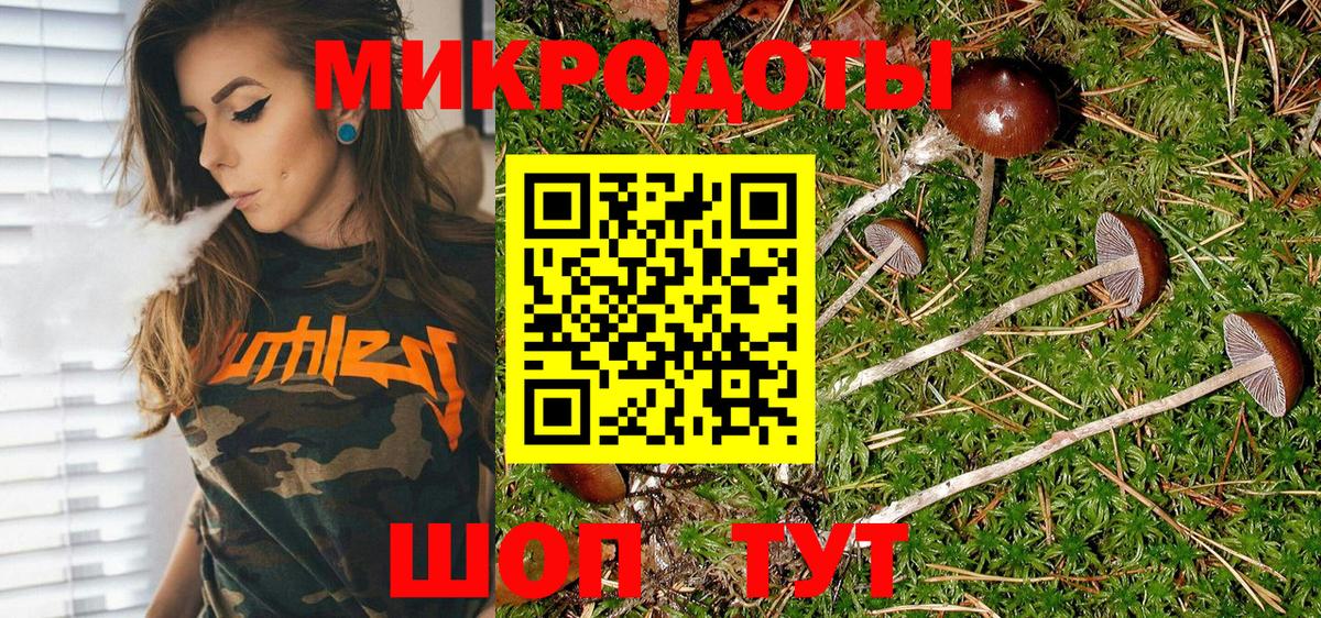 Галлюциногенные грибы мицелий Златоуст