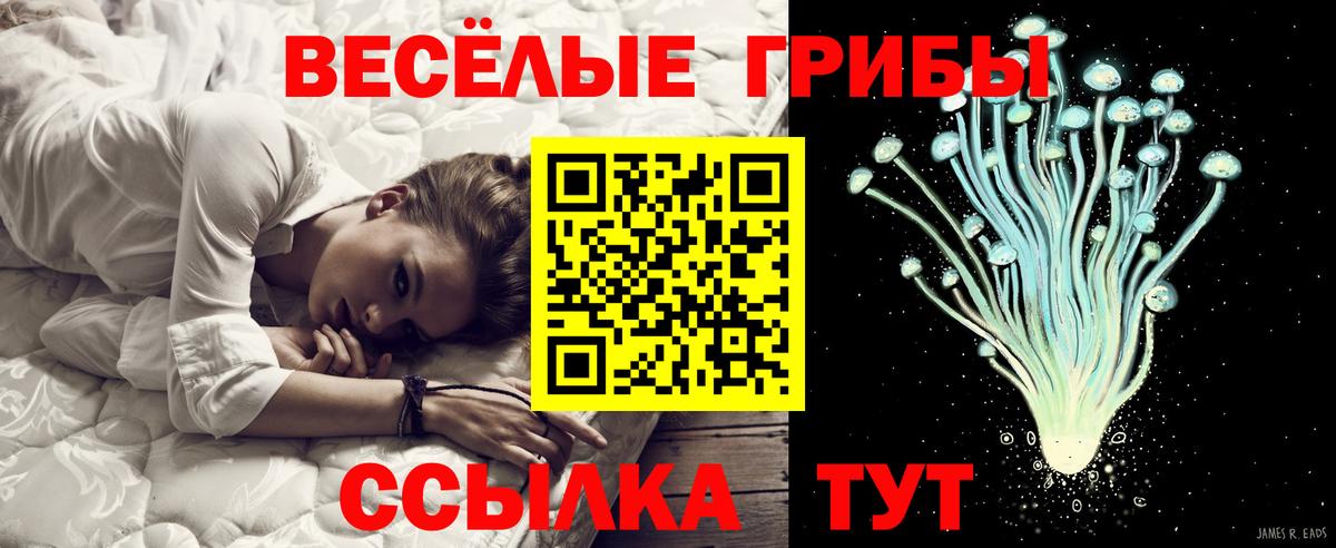Галлюциногенные грибы GOLDEN TEACHER  Вход с VPN  Златоуст 
